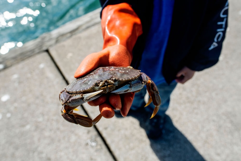 Crabbing in Newport Oregon Embarcadero Resort