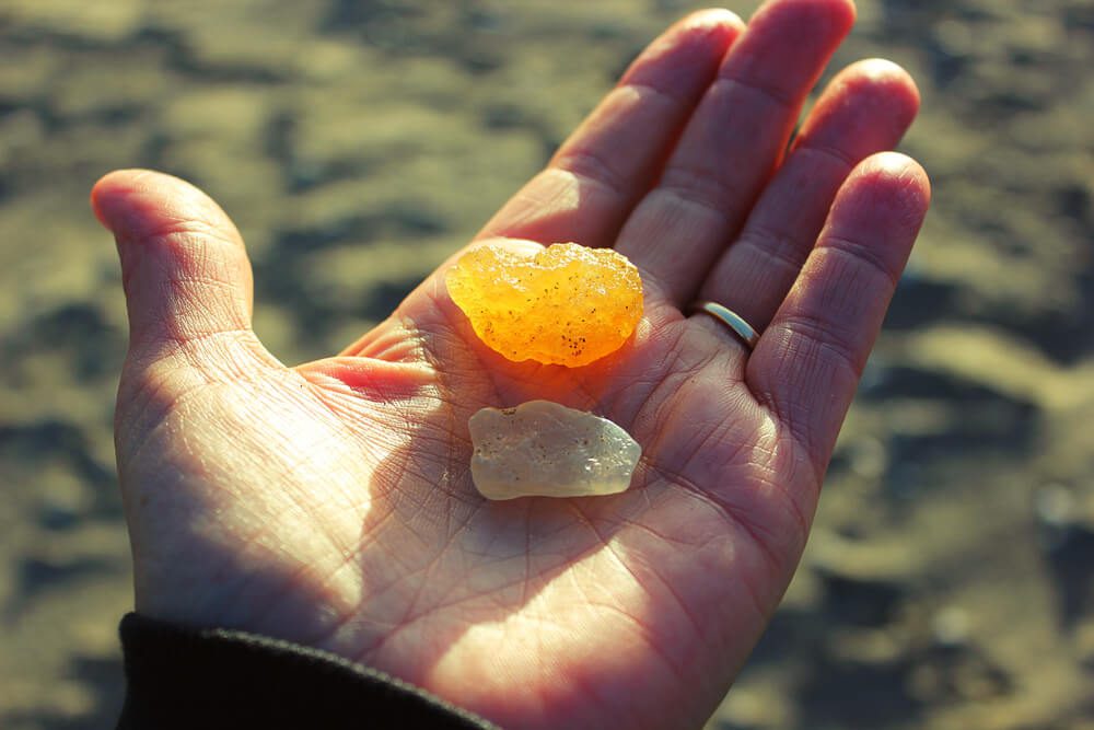 A person agate hunting on the Oregon coast.